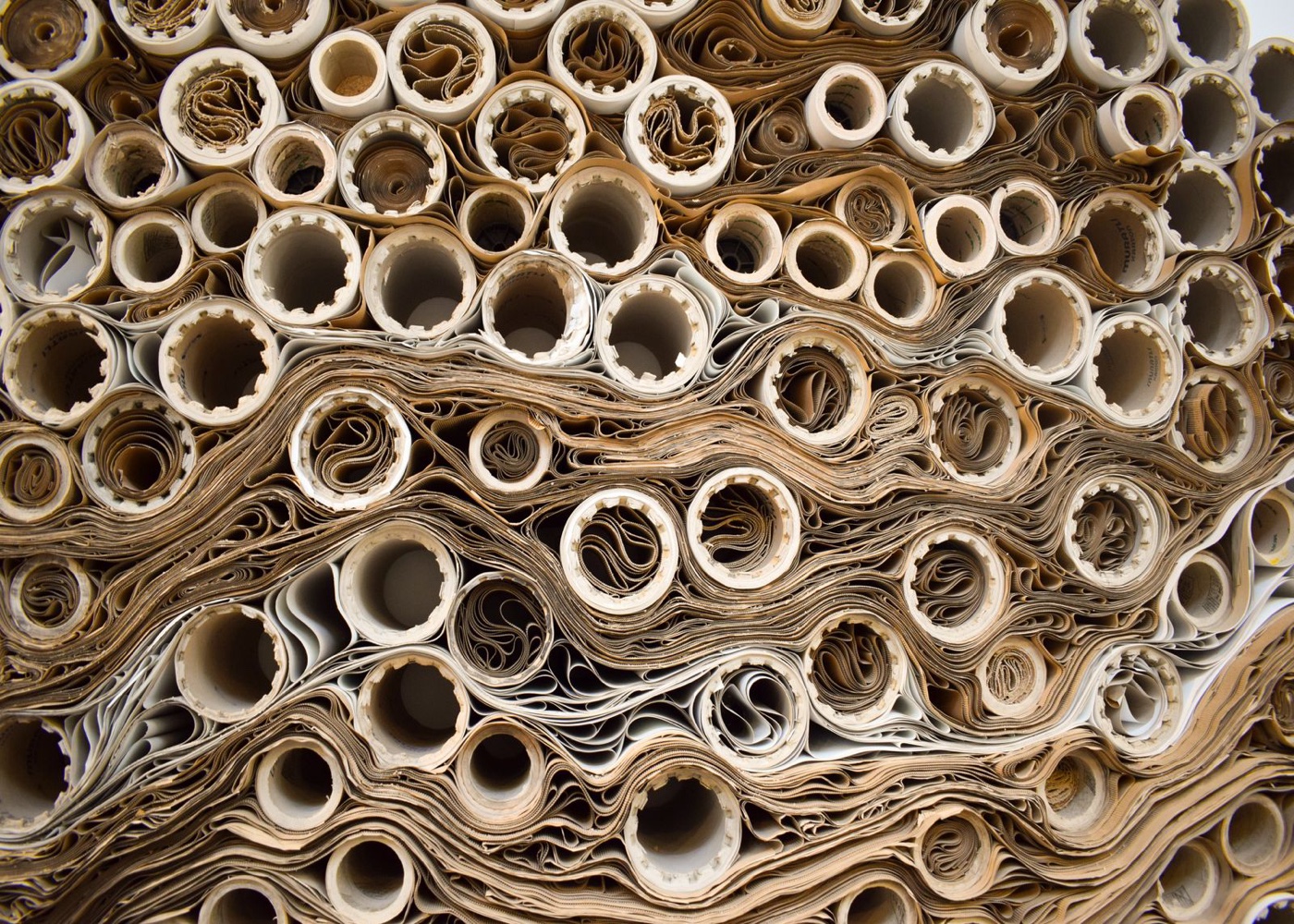 Papel y Celulosa
